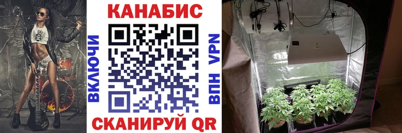 Купить наркотики цена Отрадное Бошки Шишки  Мефедрон  АМФЕТАМИН  ГАШ  ссылка на мегу как войти  APVP 