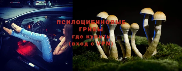 дурь Россошь