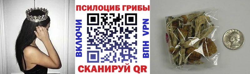 Псилоцибиновые грибы ЛСД  Отрадное 